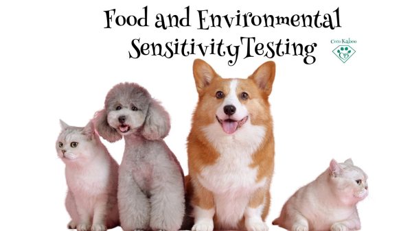 Testing for Food and Environmental Sensitives