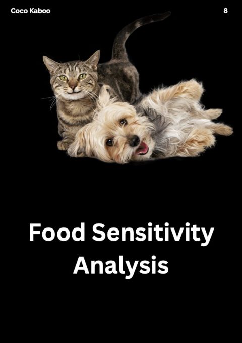 Pet Sensitivity And Intolerance Test For Cats Or Dogs, Easy