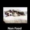 Non Food Sensitivity Title Page