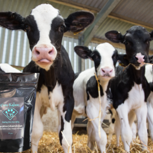 Curious Calves with Pawsitive Colostrum Care Packet - Natural Healing for Animals