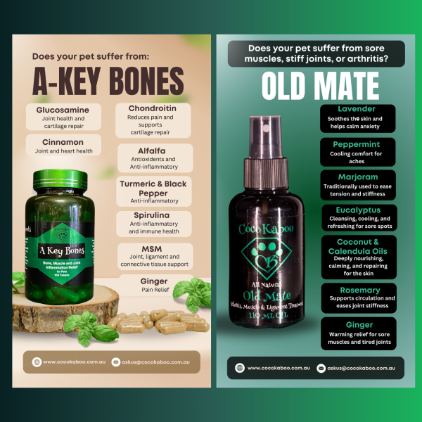 Mobility and Recovery Bundle for dogs featuring A Key Bones joint support and Old Mate topical relief, natural remedies for ageing or injured pets, handmade in Australia.