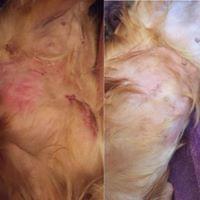 Dry as a Bone - Eczema Treatment