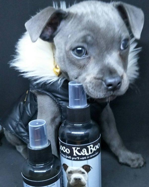 Dog Deodorising Spray